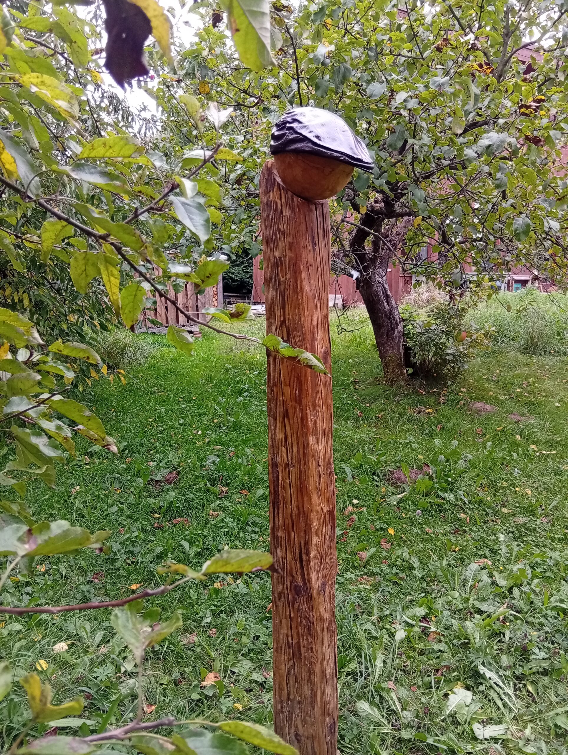 Domů img 20250922 150550